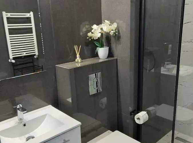 Woda I Wiatr Pl Rozewska 44 A 31 Daire